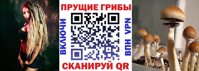 Галлюциногенные грибы мухоморы Киров