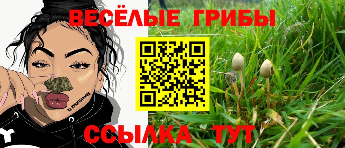 Киров  Галлюциногенные грибы ЛСД  Вход с VPN 