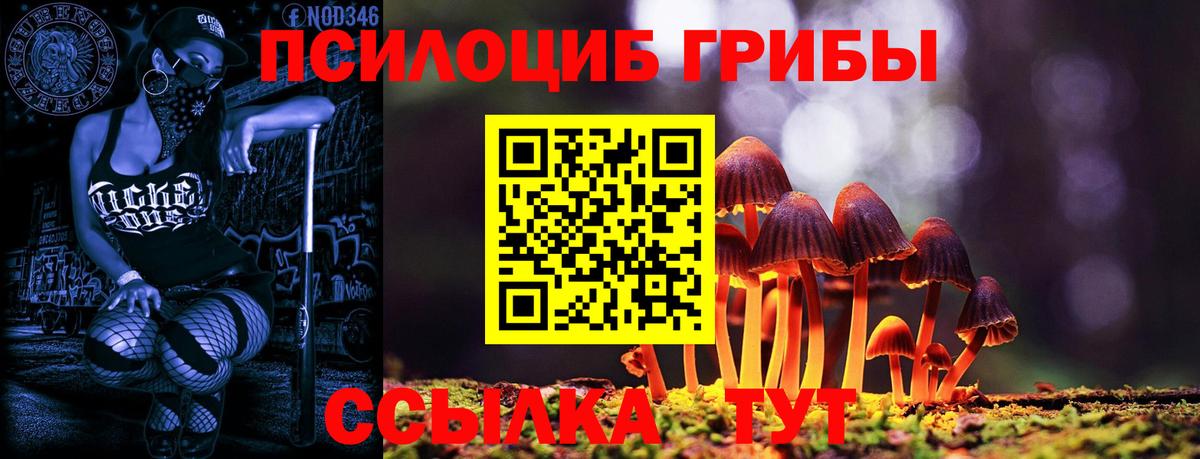 Псилоцибиновые грибы ЛСД Киров